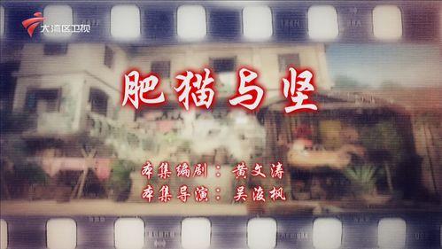 七十二家租客在线观看,温情回忆，笑中带泪的都市生活画卷